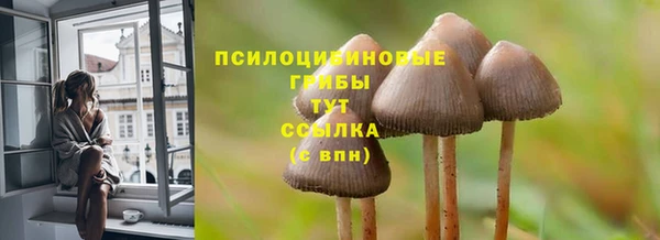 меф Богородицк