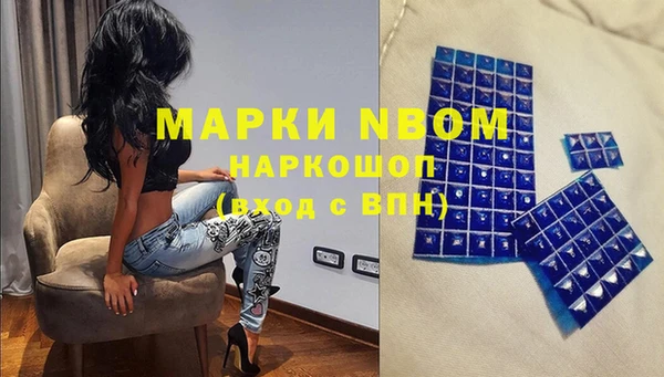 ГАЛЛЮЦИНОГЕННЫЕ ГРИБЫ Щучье