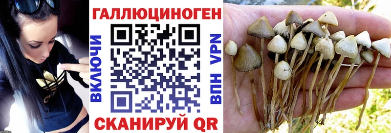 где продают кракен как войти Галлюциногенные грибы мицелий Нарткала
